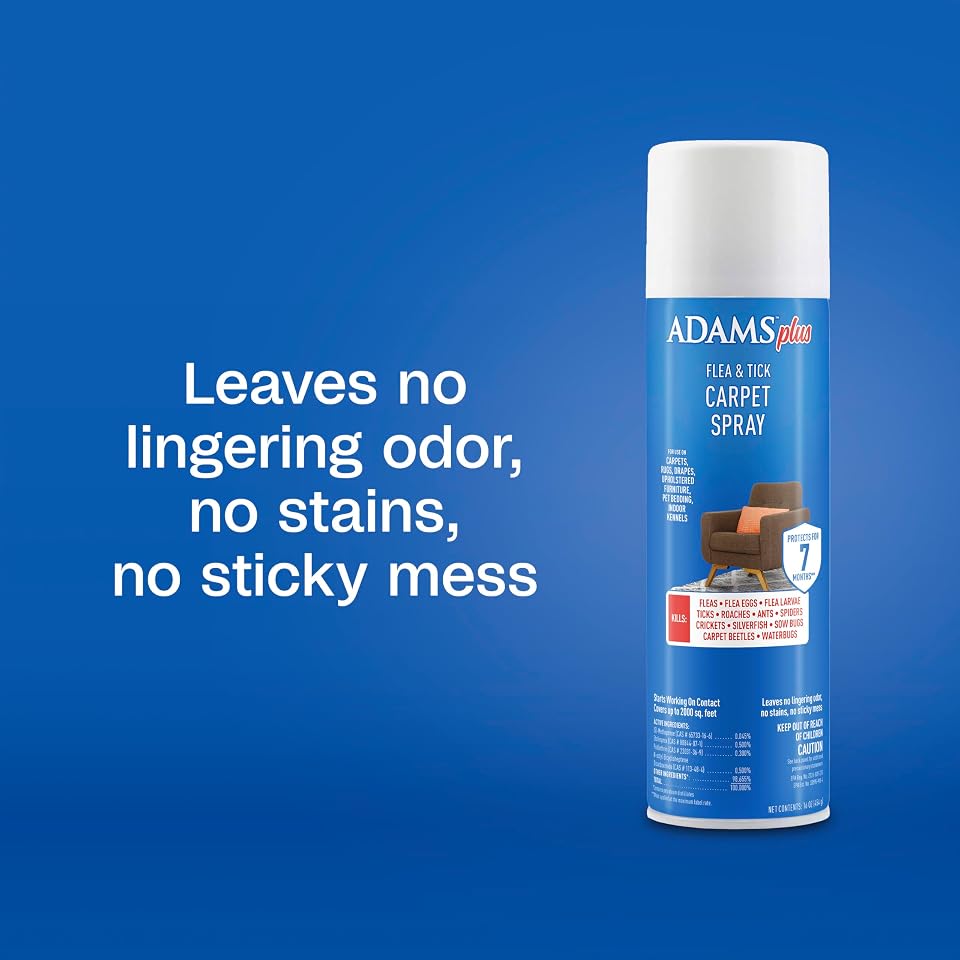 ADAMS Plus Flea & Tick Carpet Spray, Flea Spray for Home, 16 Oz | Flea treatment for home, flea spray for carpet and furniture, kills eggs and larvae, no lingering odor or stains
