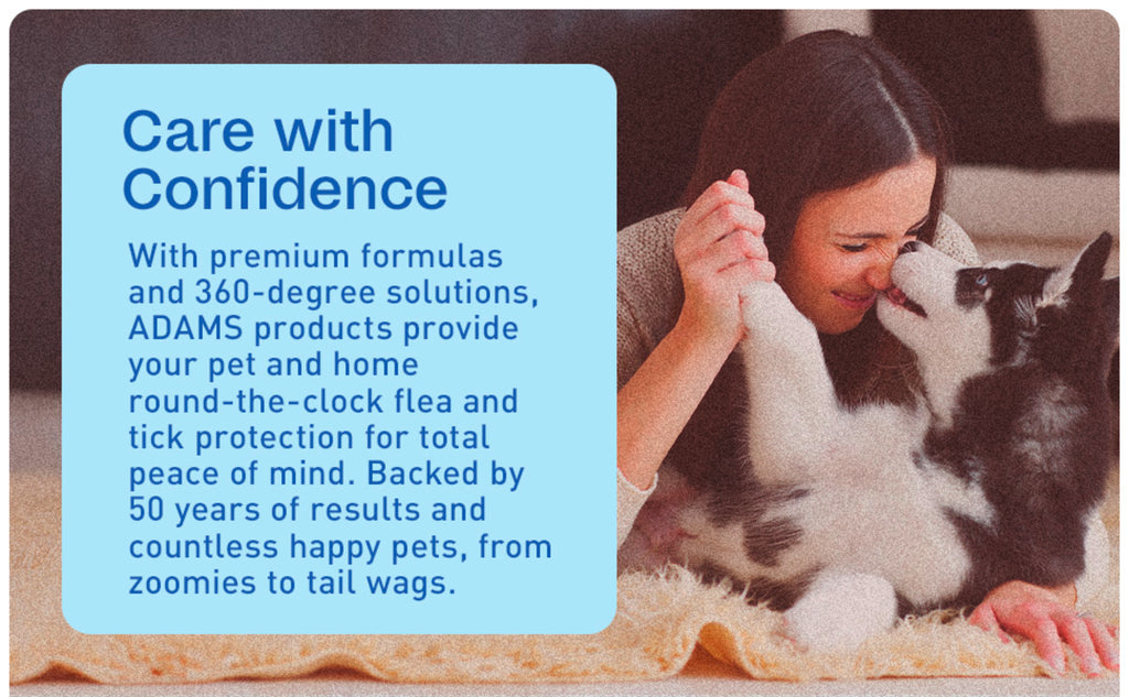 ADAMS Plus Flea & Tick Carpet Spray, Flea Spray for Home, 16 Oz | Flea treatment for home, flea spray for carpet and furniture, kills eggs and larvae, no lingering odor or stains