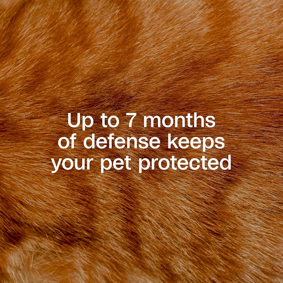ADAMS Plus Flea & Tick Collar for Cats, Adjustable, 2 Count | Flea and tick prevention for cats, breakaway collar, water-resistant, up to 7 months