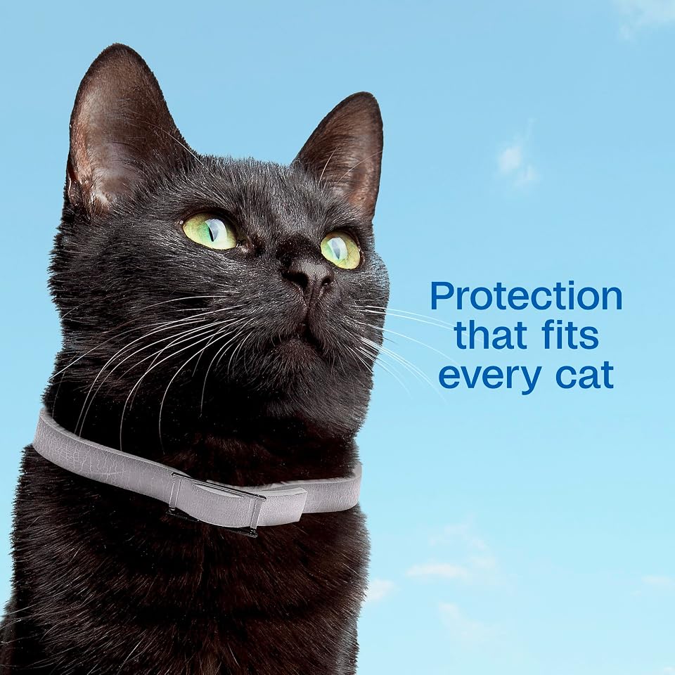 ADAMS Plus Flea & Tick Collar for Cats, Adjustable, 2 Count | Flea and tick prevention for cats, breakaway collar, water-resistant, up to 7 months