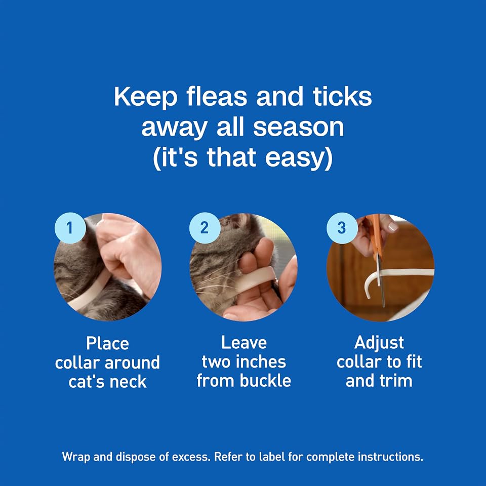 ADAMS Plus Flea & Tick Collar for Cats, Adjustable, 2 Count | Flea and tick prevention for cats, breakaway collar, water-resistant, up to 7 months