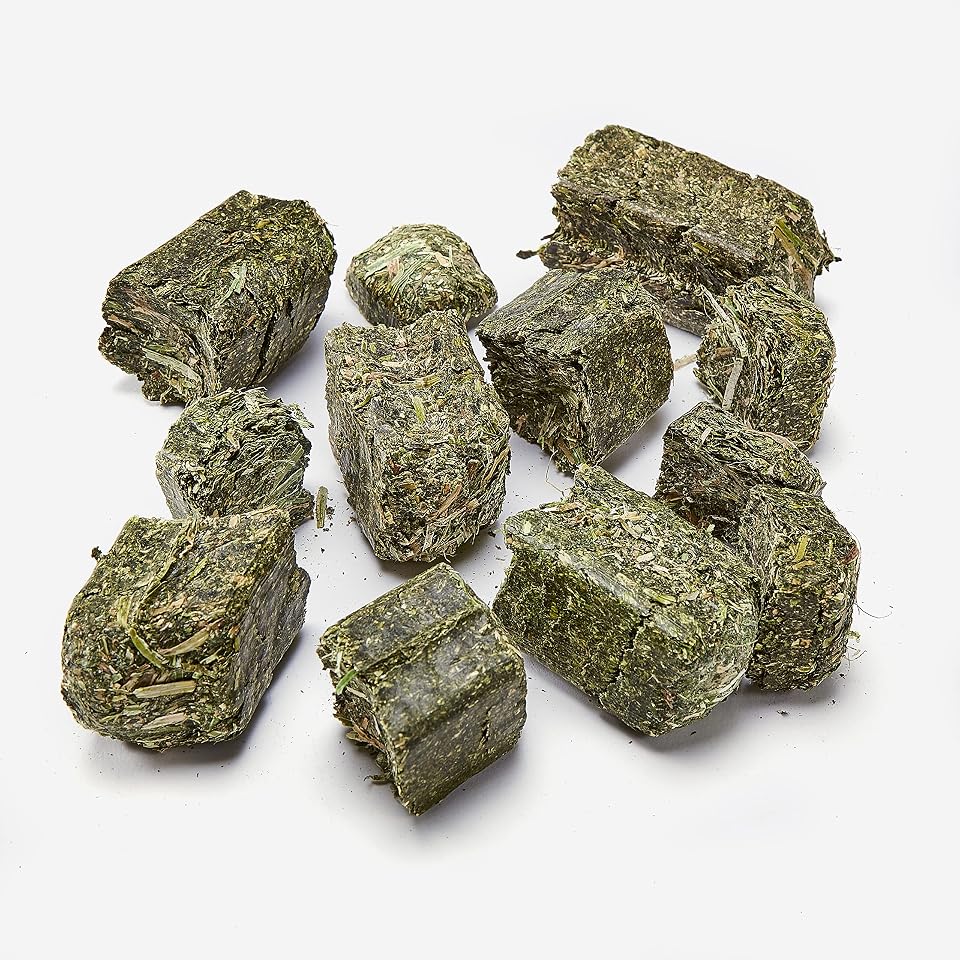 Kaytee Alfalfa Cubes for Rabbits and Guinea Pigs, 15 Oz | Fiber-rich rabbit treats. Sun-cured alfalfa cubes for guinea pig treats. High protein, no artificial colors or preservatives 