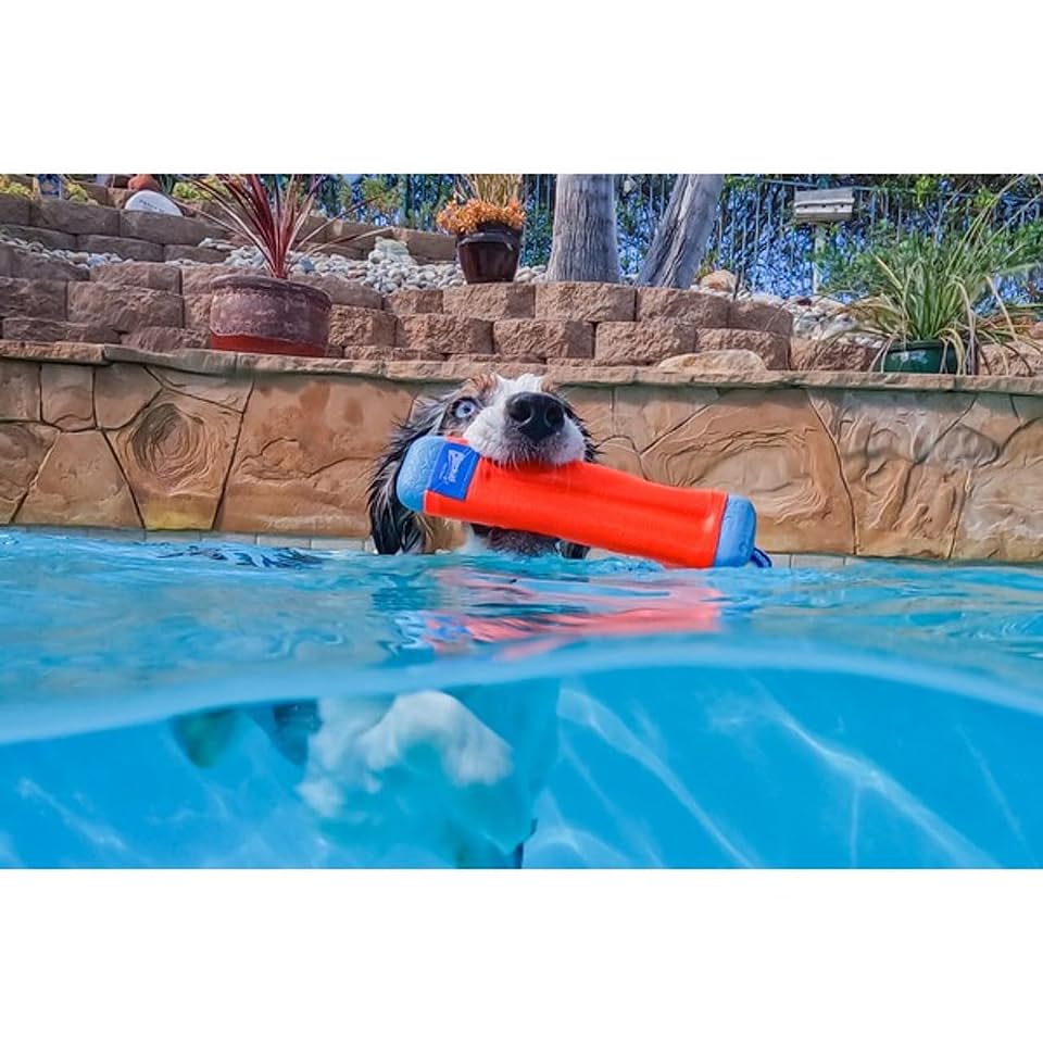 Chuckit! Amphibious Bumper Fetch and Float Toy 2 Sizes Assorted Colors | Floats in Water & Keeps Dogs Busy with Interactive Fetch Play; Made of Tough Rubber, Nylon & Foam with Non-Slip Rope Handle