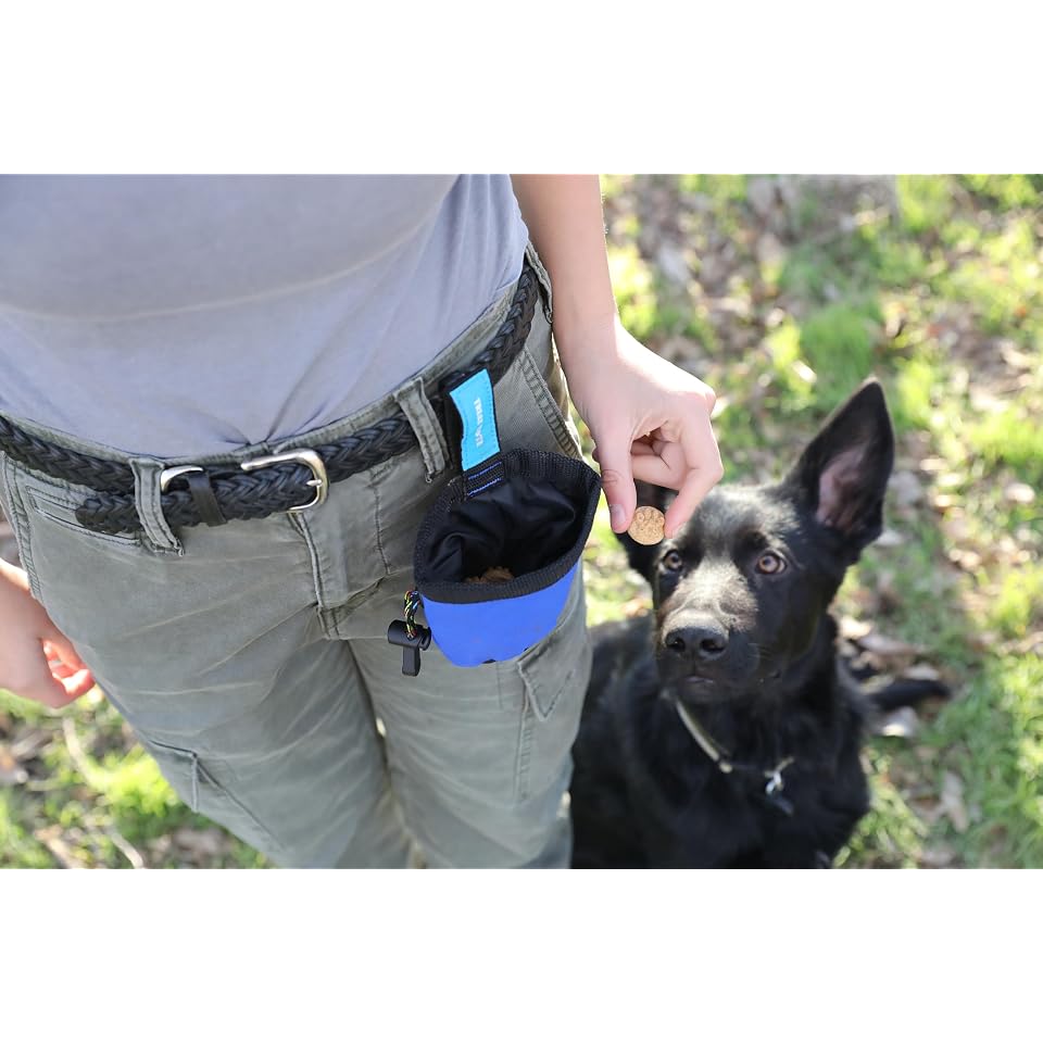 Chuckit! Treat Tote Dog Treat Pouch for Puppy Training, 1 Cup