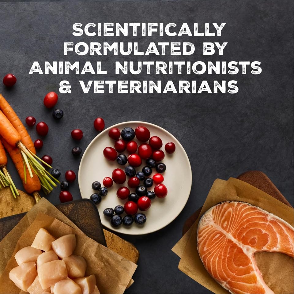 Blue Buffalo Wilderness Chicken & Salmon Wet Cat Food, 3 oz, 24 ct | Wild Delights Meaty Morsels in Tasty Gravy, High Protein & Grain-Free Recipe, Made with Natural Ingredients