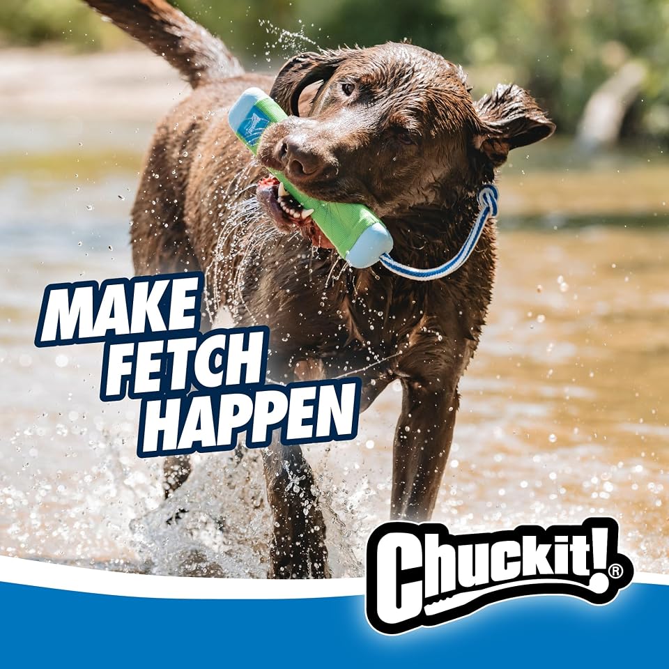Chuckit! Amphibious Bumper Fetch and Float Toy 2 Sizes Assorted Colors | Floats in Water & Keeps Dogs Busy with Interactive Fetch Play; Made of Tough Rubber, Nylon & Foam with Non-Slip Rope Handle