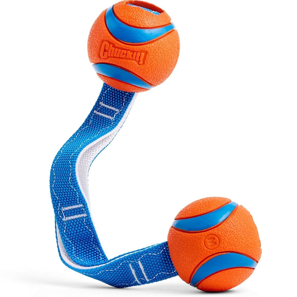 Chuckit! Ultra Duo Tug Dog Toy, Medium 2.5in, Orange and Blue, 20-60lbs | Two Ultra Balls on a Durable Nylon Cord Handle for Fetch and Tug-of-War Play; Made for Breeds 20-60 lbs, in Orange and Blue