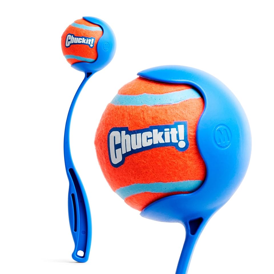 Chuckit! Dog Ball Launcher 12M Sport, Plastic, Great for Kids | Featuring a 12 In Handle for Medium 2.5 in Balls and Dogs 20-60 lbs, This Plastic Thrower Is Perfect for Kids, Made in USA 