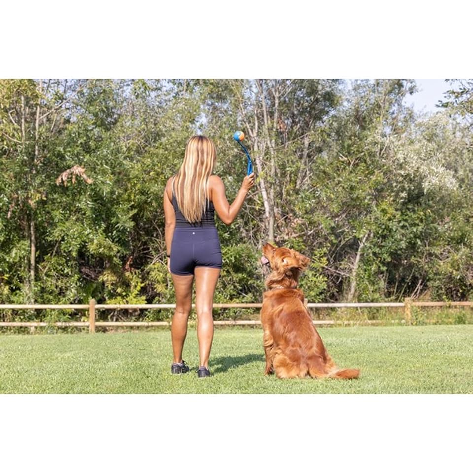 Chuckit! Dog Ball Launcher 12M Sport, Plastic, Great for Kids | Featuring a 12 In Handle for Medium 2.5 in Balls and Dogs 20-60 lbs, This Plastic Thrower Is Perfect for Kids, Made in USA 
