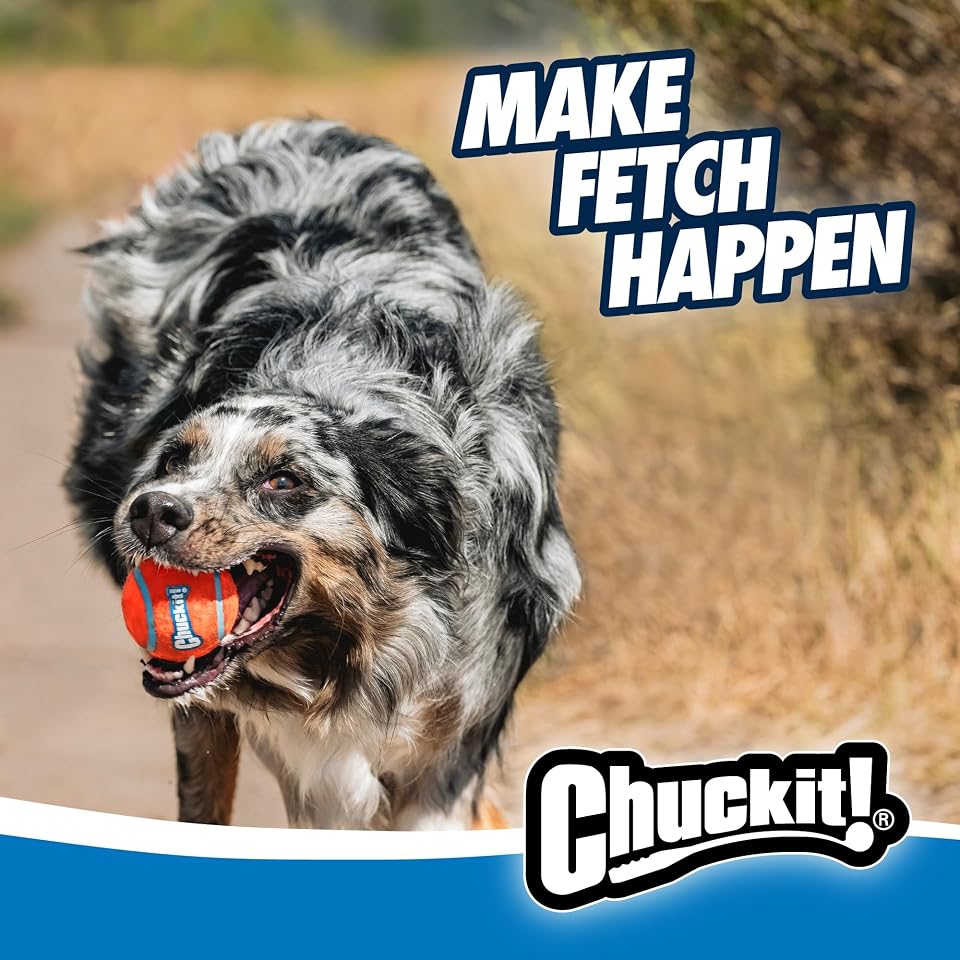 Chuckit! Dog Ball Launcher 12M Sport, Plastic, Great for Kids | Featuring a 12 In Handle for Medium 2.5 in Balls and Dogs 20-60 lbs, This Plastic Thrower Is Perfect for Kids, Made in USA 