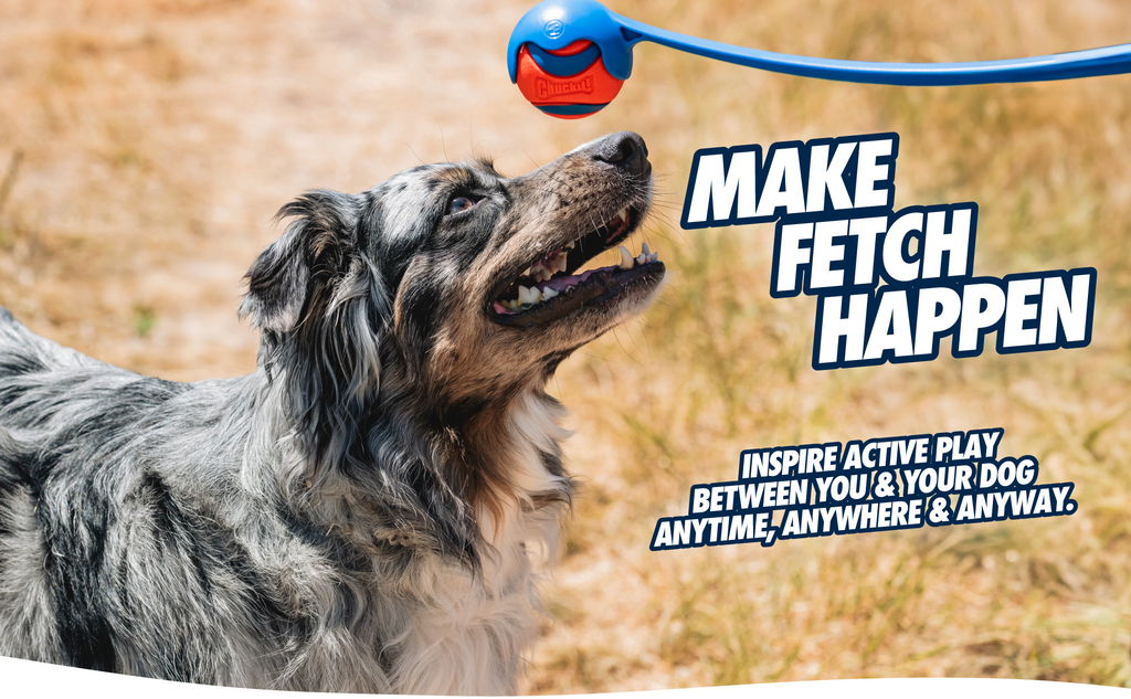 Chuckit! Dog Ball Launcher 12M Sport, Plastic, Great for Kids | Featuring a 12 In Handle for Medium 2.5 in Balls and Dogs 20-60 lbs, This Plastic Thrower Is Perfect for Kids, Made in USA 