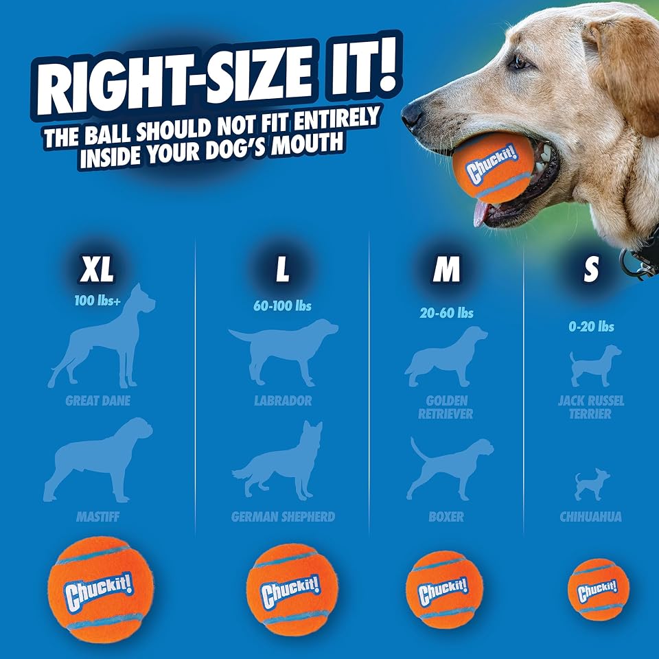 Chuckit! Dog Tennis Ball Toy, Medium 2.5in, 4 Pack, for 20-60lbs Dogs | Made for Dogs Weighing 0 to 100 Pounds 