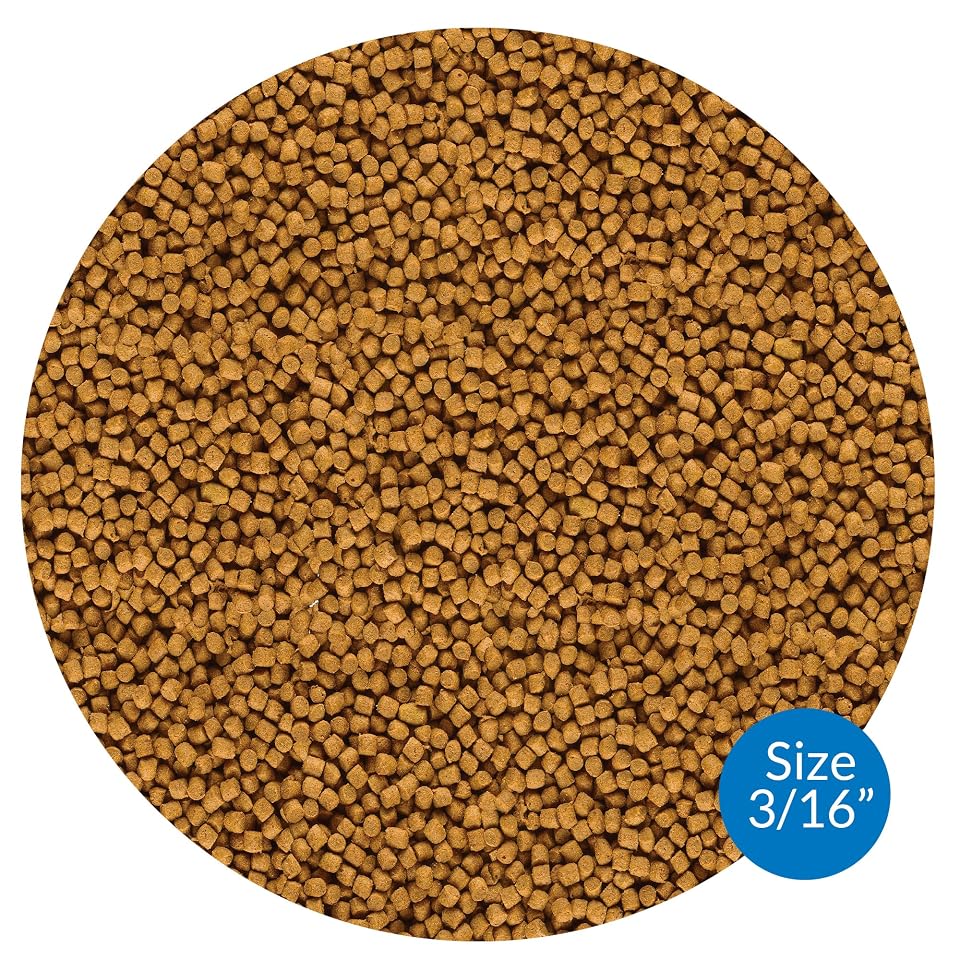 API POND FISH FOOD Pond Fish Food 11.5-Ounce Bag 