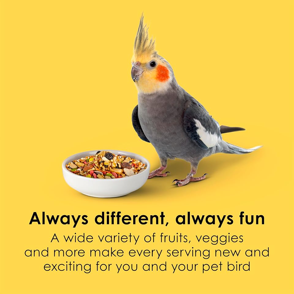 Kaytee Fiesta Cockatiel Bird Food, Nutritious Fun Blend, 2.5 Pounds | Foraging fun. Bird feed blend. Bird seeds, fruits, vegetables 