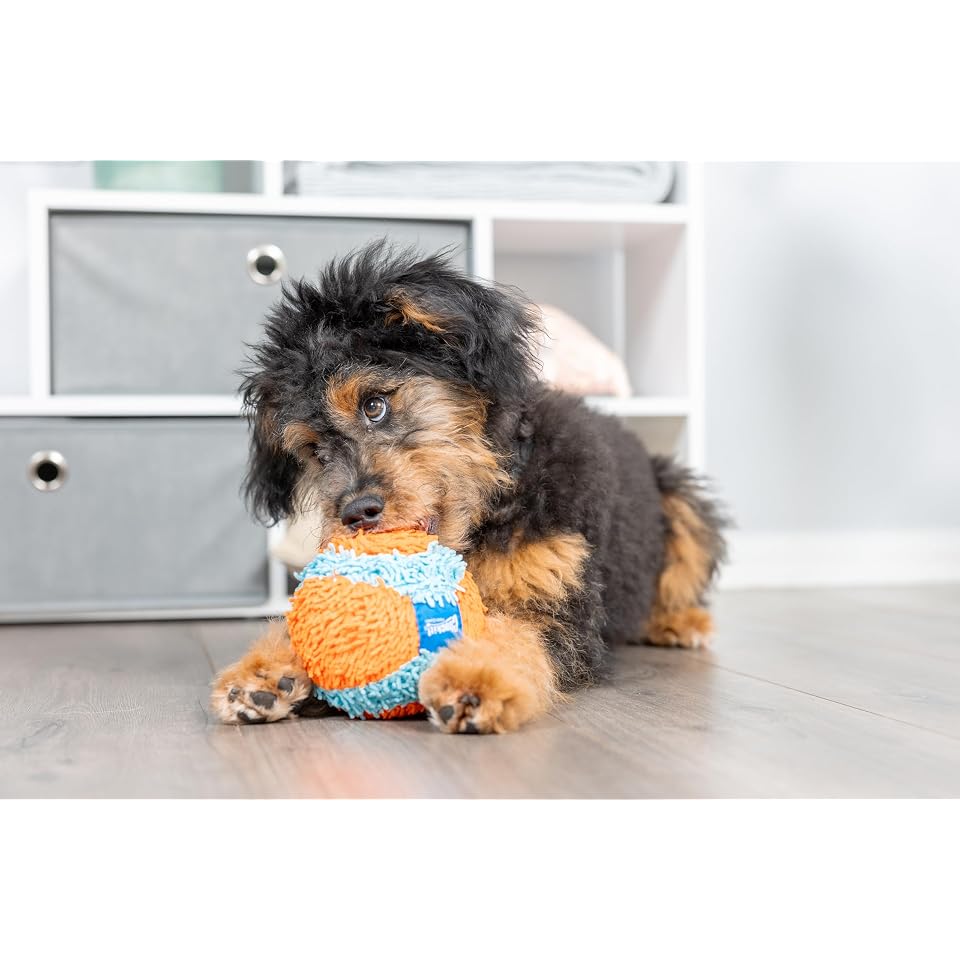 Chuckit! Indoor Fetch Ball Dog Toy, 4.75in, Orange and Blue | Interactive Dog Toy Designed to Relieve Boredom with Safe, Engaging Fetch Play for Dogs Indoors, Rain or Shine