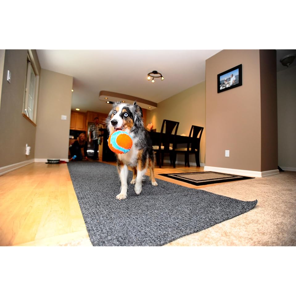 Chuckit! Indoor Fetch Ball Dog Toy, 4.75in, Orange and Blue | Interactive Dog Toy Designed to Relieve Boredom with Safe, Engaging Fetch Play for Dogs Indoors, Rain or Shine