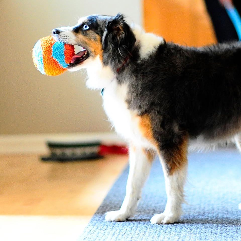 Chuckit! Indoor Fetch Ball Dog Toy, 4.75in, Orange and Blue | Interactive Dog Toy Designed to Relieve Boredom with Safe, Engaging Fetch Play for Dogs Indoors, Rain or Shine