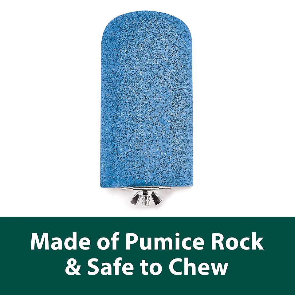 Kaytee Lava Ledge for Small Pet Wire Habitats | Active play. Pumice chinchilla cage accessories for jumping. Safe to chew, attaches to wire homes, chinchilla toys