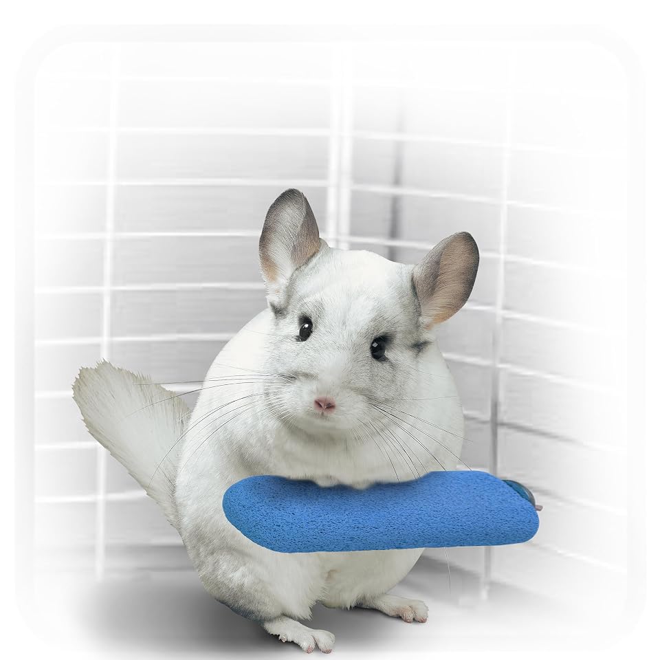 Kaytee Lava Ledge for Small Pet Wire Habitats | Active play. Pumice chinchilla cage accessories for jumping. Safe to chew, attaches to wire homes, chinchilla toys