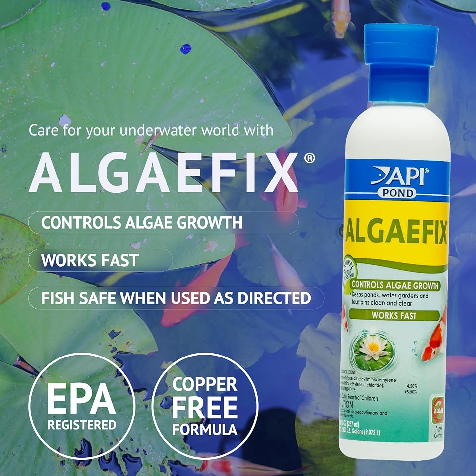 API POND ALGAEFIX (16 fl oz) Pond Algae Control - Copper Free - Clean, Clear Water - Up to 4800 Gallons - Safe for Fish & Plants - Water Gardens, Fountains - Natural Active Ingredient - EPA-Registered