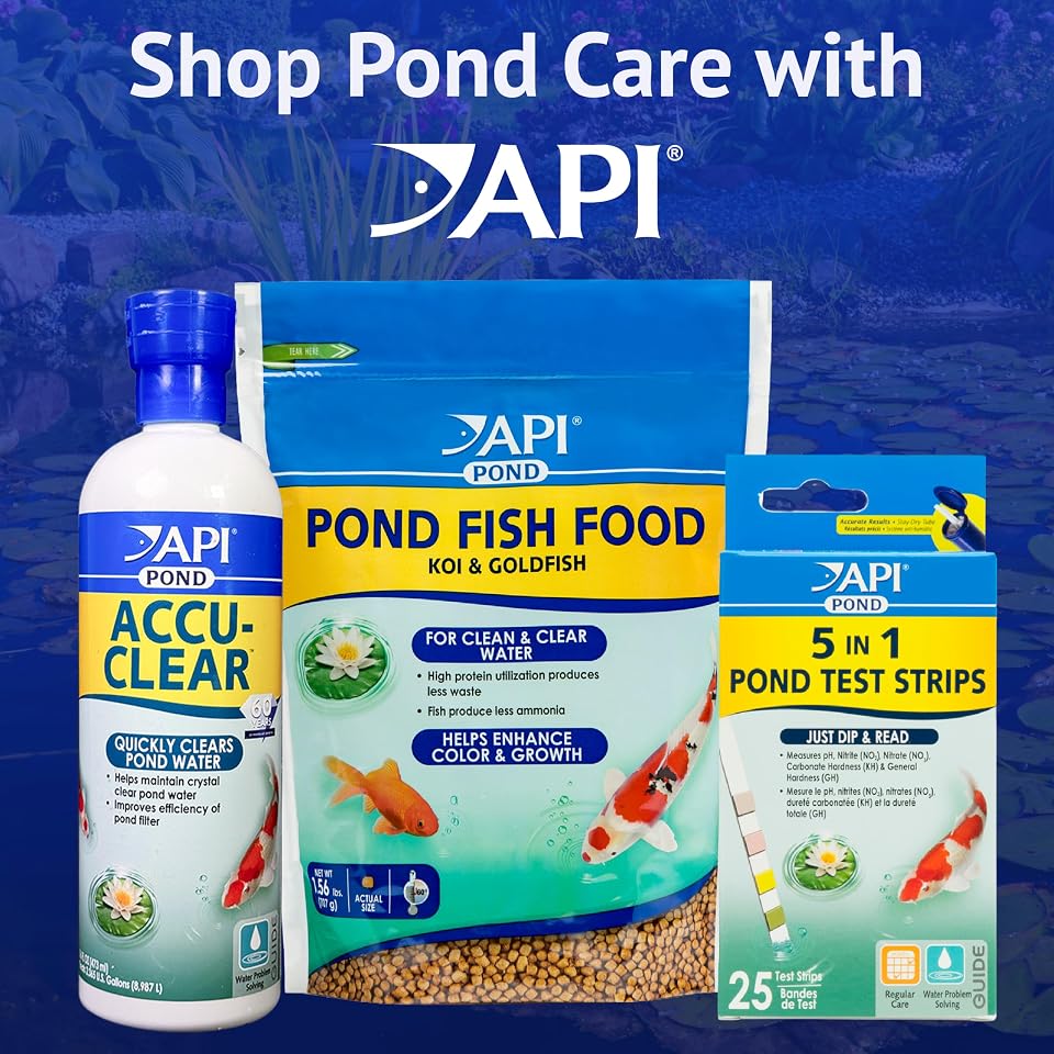 API POND ALGAEFIX (16 fl oz) Pond Algae Control - Copper Free - Clean, Clear Water - Up to 4800 Gallons - Safe for Fish & Plants - Water Gardens, Fountains - Natural Active Ingredient - EPA-Registered
