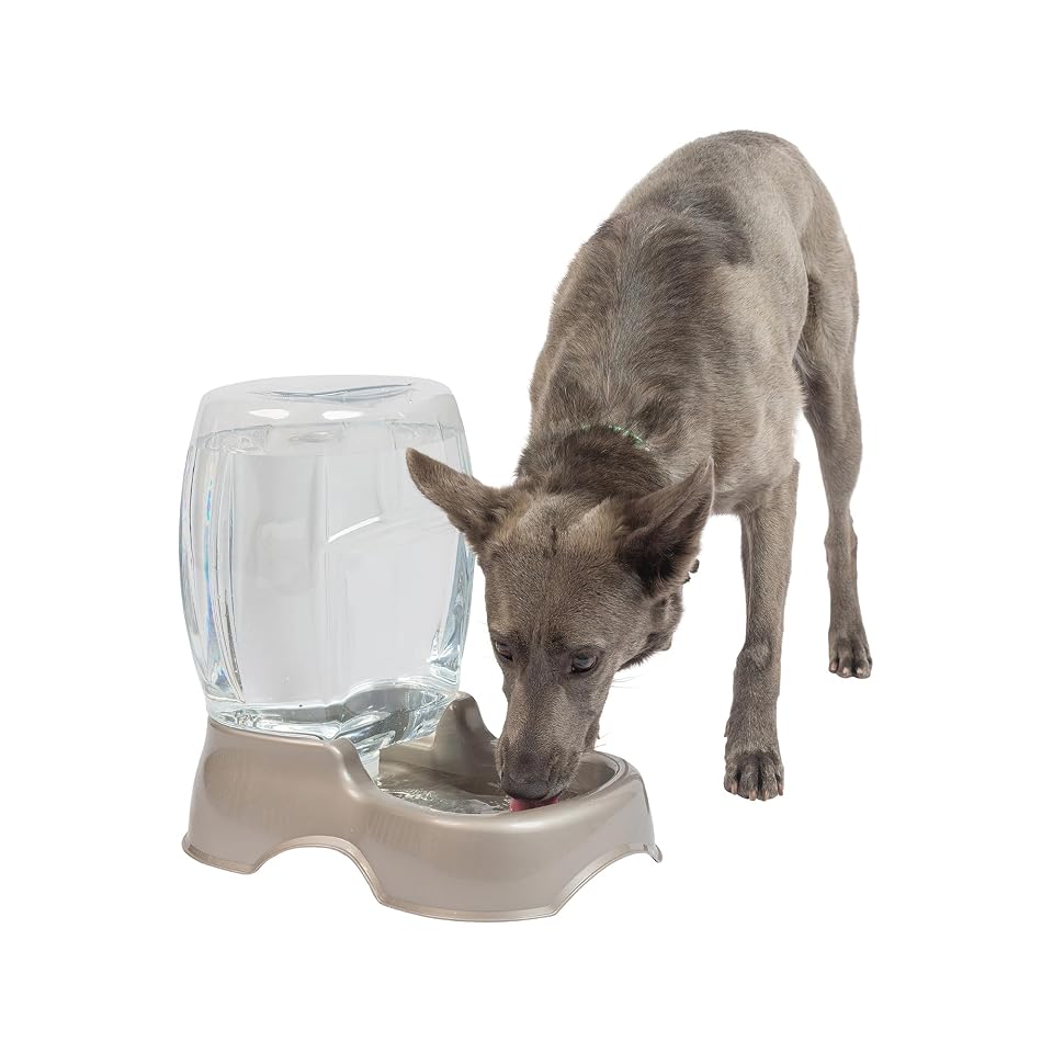 Petmate Pet Cafe Cat and Dog Water Dispenser, 3 GAL, Pearl Tan | USA Made Gravity Waterer with Easy Grab Base for Cats and Dogs 