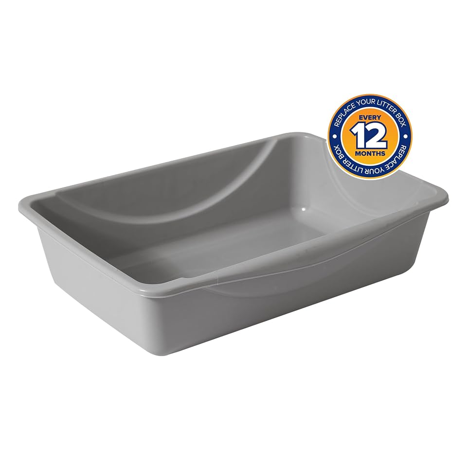 Petmate Basic Open Plastic Cat Litter Pan, Gray, Small | Multidirectional and Easy to Clean, 14 In x 10.5 In x 3.5in, Recommended for Kittens and Small Cats, Made in USA