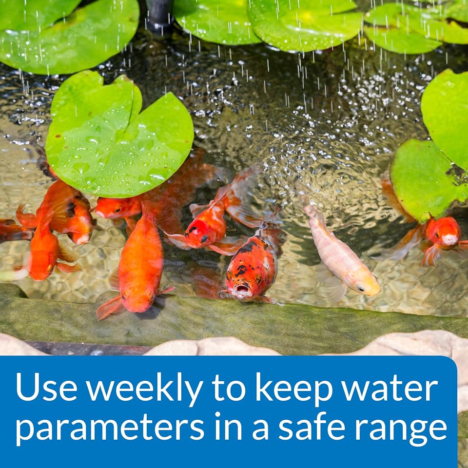 API POND WIDE RANGE pH TEST KIT 160-Test Pond Water Test Kit
