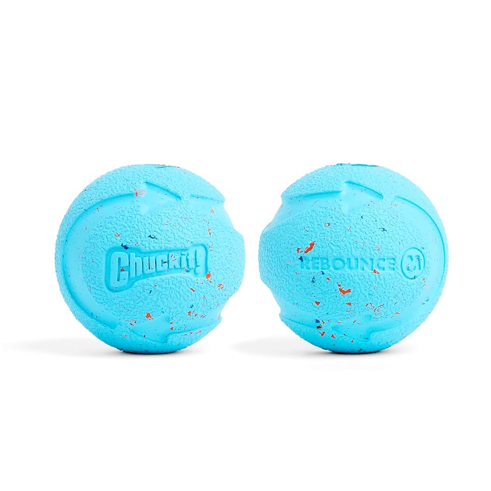 Chuckit! Rebounce Ball Dog Toy, Medium 2.5 Inch, for Dogs 20-60 lbs, Blue | Bouncy rubber build, unpredictable bounce pattern, durable outdoor construction, pack of 2 balls, great for playtime today