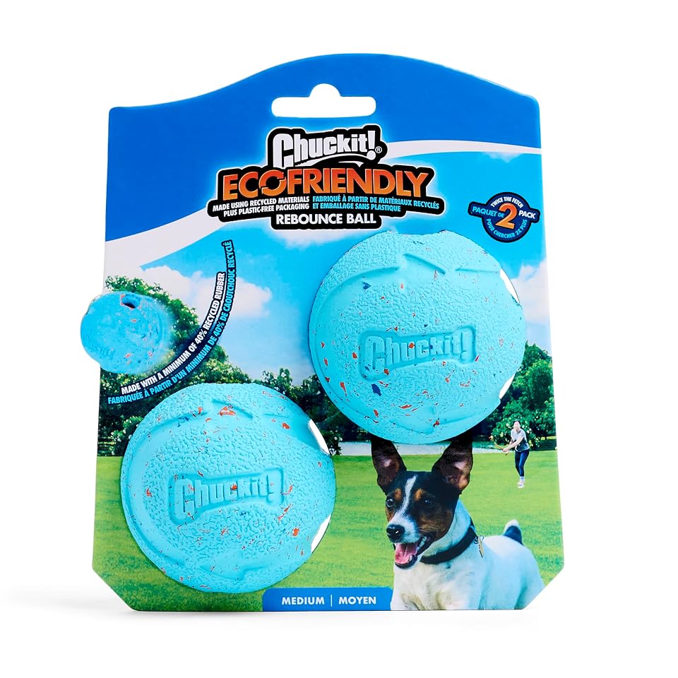 Chuckit! Rebounce Ball Dog Toy, Medium 2.5 Inch, for Dogs 20-60 lbs, Blue | Bouncy rubber build, unpredictable bounce pattern, durable outdoor construction, pack of 2 balls, great for playtime today