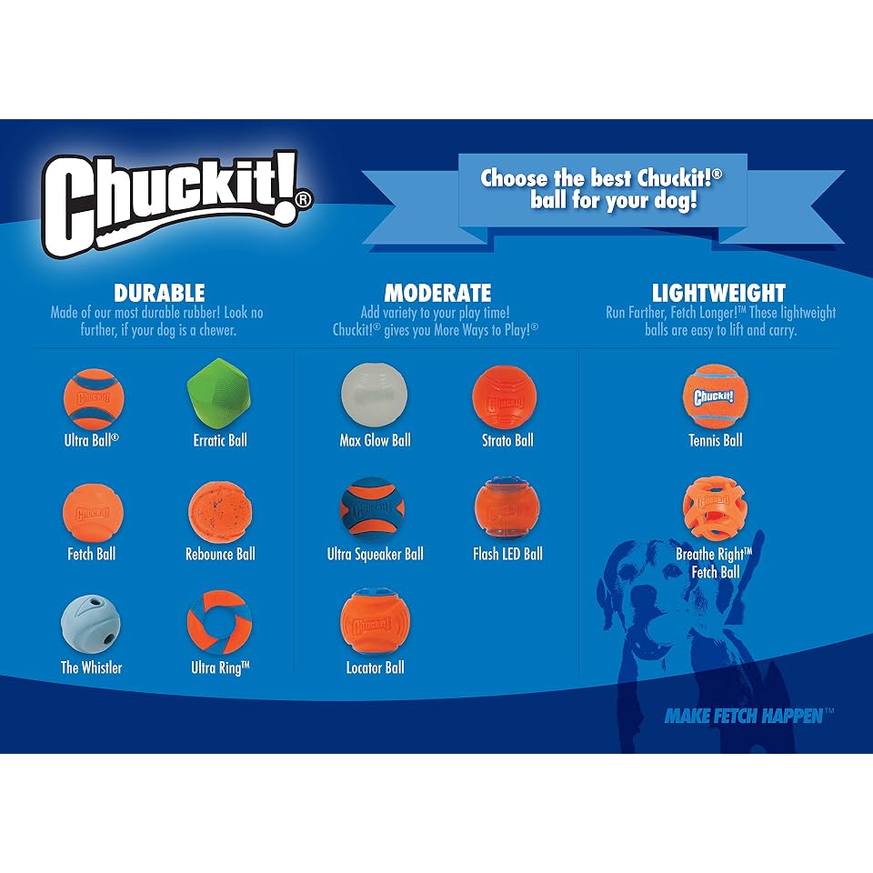 Chuckit! Rebounce Ball Dog Toy, Medium 2.5 Inch, for Dogs 20-60 lbs, Blue | Bouncy rubber build, unpredictable bounce pattern, durable outdoor construction, pack of 2 balls, great for playtime today