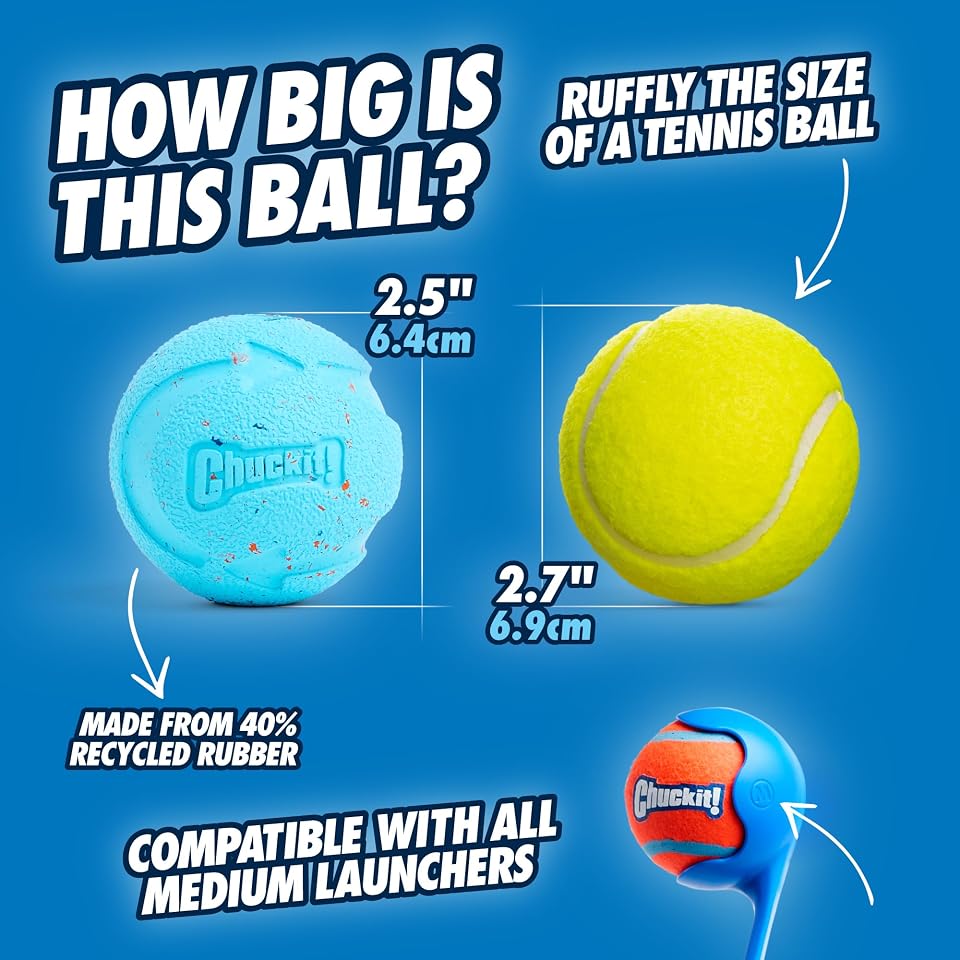 Chuckit! Rebounce Ball Dog Toy, Medium 2.5 Inch, for Dogs 20-60 lbs, Blue | Bouncy rubber build, unpredictable bounce pattern, durable outdoor construction, pack of 2 balls, great for playtime today