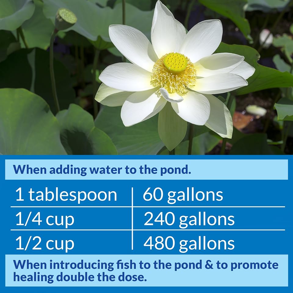 API POND STRESS COAT (32 fl oz) Pond Water Conditioner - Quickly Makes Tap Water Safe for Fish & Plants - Up to 3840 Gallons - Removes Chlorine, Ammonia & More - Aloe Vera - Natural Active Ingredient