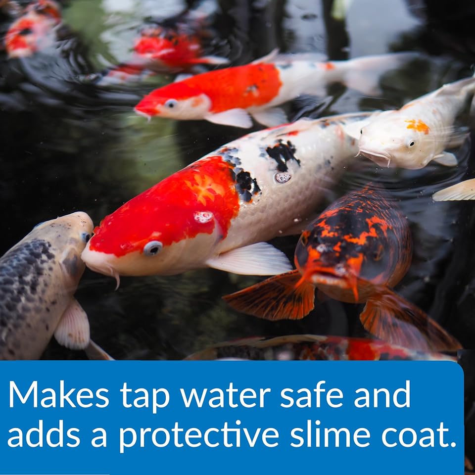 API POND STRESS COAT (32 fl oz) Pond Water Conditioner - Quickly Makes Tap Water Safe for Fish & Plants - Up to 3840 Gallons - Removes Chlorine, Ammonia & More - Aloe Vera - Natural Active Ingredient