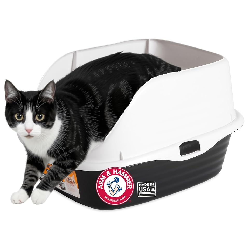 Arm & Hammer Rimmed Open Cat Litter Box, Wave with High Sides, High Sided Cat Litter Pan, Made in USA, Gray 