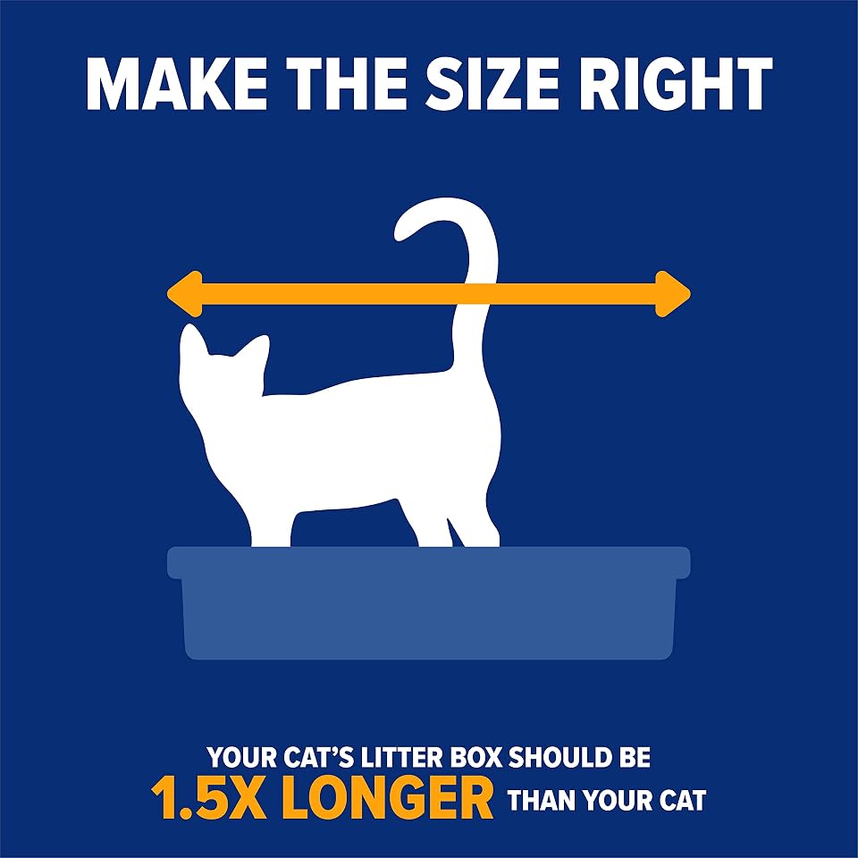 Arm & Hammer Rimmed Open Cat Litter Box, Wave with High Sides, High Sided Cat Litter Pan, Made in USA, Gray 