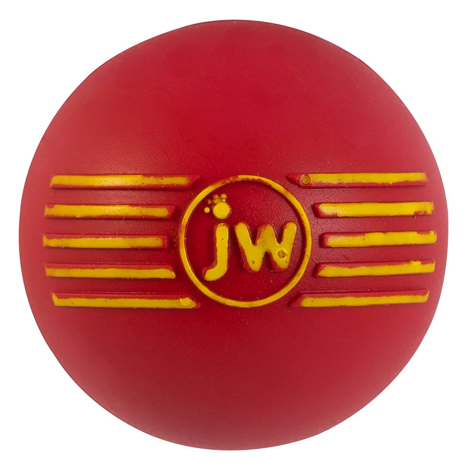 JW Squeak-ee Ball Puppy Toy | Water Resistant Design.