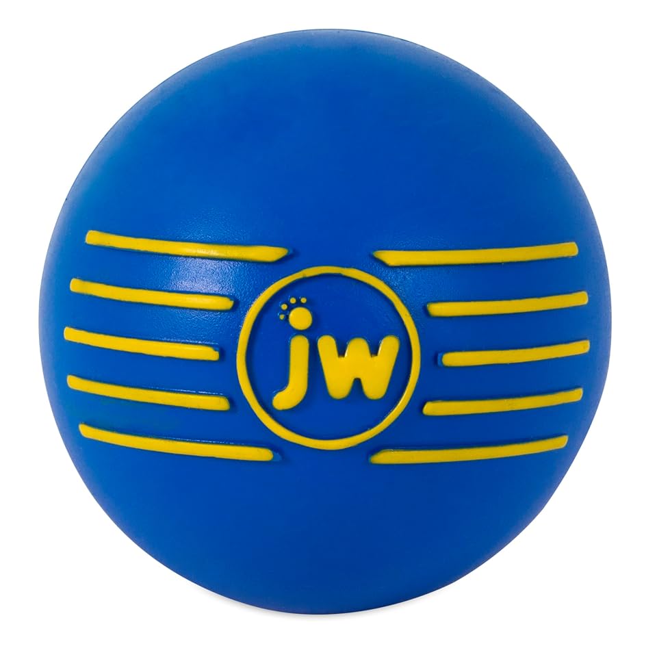JW Squeak-ee Ball Puppy Toy | Water Resistant Design.