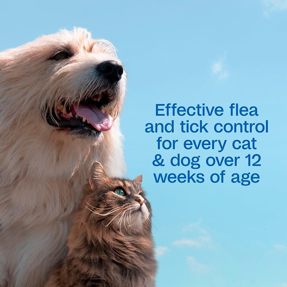 ADAMS Plus Flea & Tick Shampoo with Precor for Dogs, Cats, Puppies & Kittens, Flea Shampoo to Treat Infestations, Kills Ticks, Fleas, Flea Eggs & Lice, Cleans and Conditions Coat, 6 Ounces