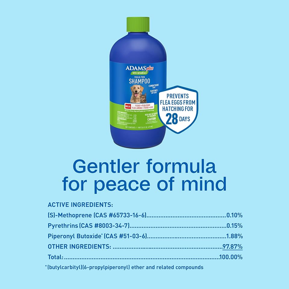 ADAMS Plus Flea & Tick Shampoo with Precor for Dogs & Cats, 12 oz | Flea shampoo for dogs and cats kills flea eggs and lice on contact, helps stop hatching for 28 days