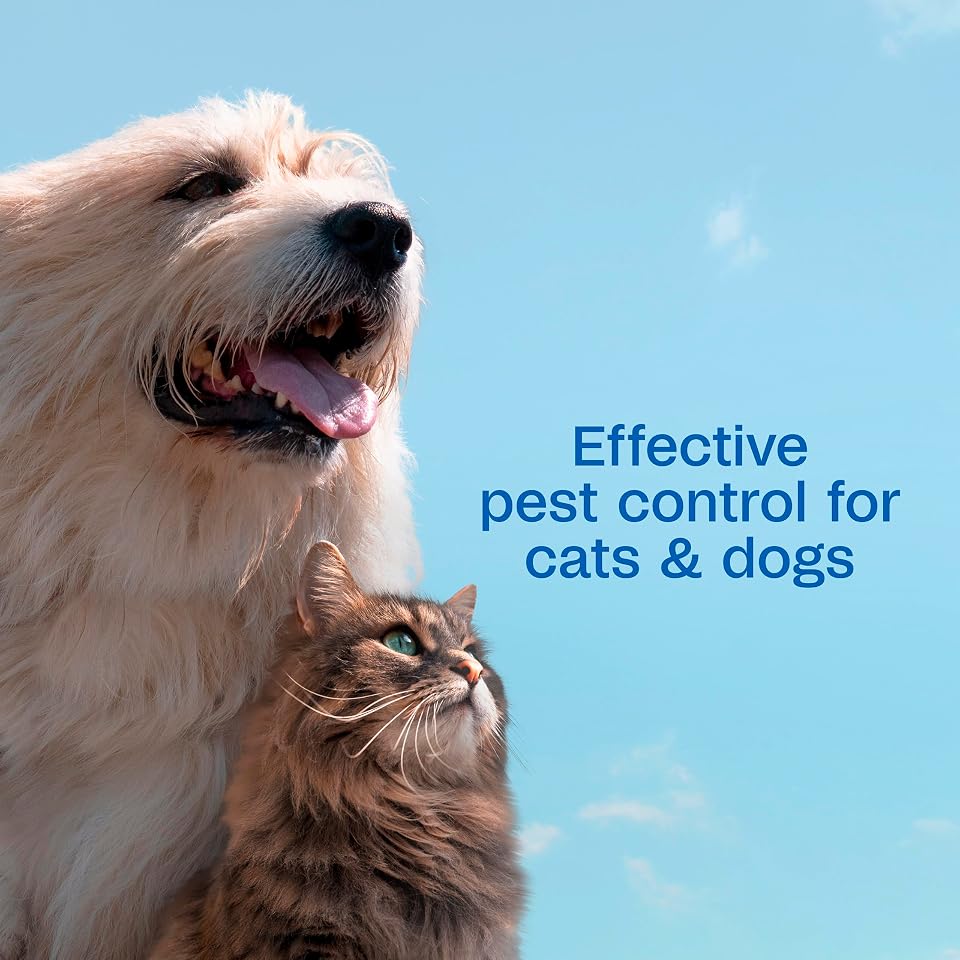 ADAMS Plus Flea and Tick Spray for Dogs & Cats, Kills Fleas and Ticks, Repels Mosquitoes, Prevents Infestations up to 2 Months, Treatment for Dogs, Cats, Puppies & Kittens, 8 Fl Oz