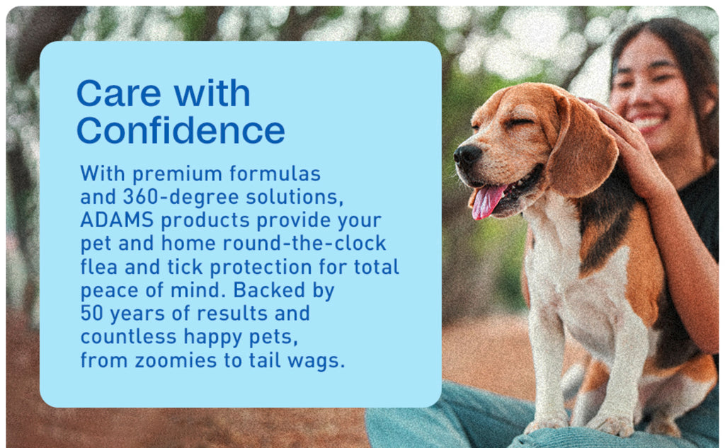 ADAMS Plus Flea and Tick Spray for Dogs & Cats, Kills Fleas and Ticks, Repels Mosquitoes, Prevents Infestations up to 2 Months, Treatment for Dogs, Cats, Puppies & Kittens, 16 Fl Oz
