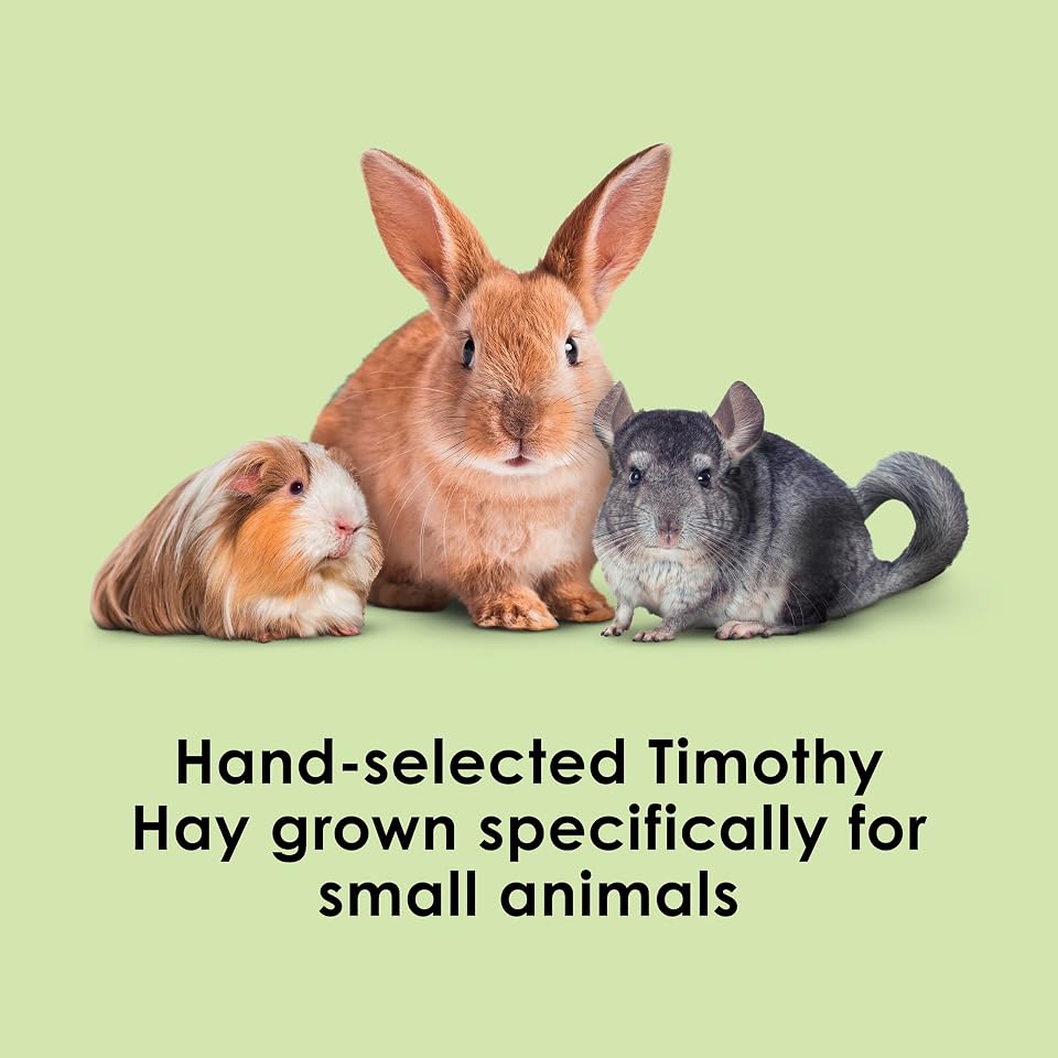 Kaytee Timothy Hay, High Fiber for Rabbits, Guinea Pigs, 96 Ounces | Supports digestive health. Hand-selected rabbit hay. Guinea pig hay, chinchilla hay, pesticide free