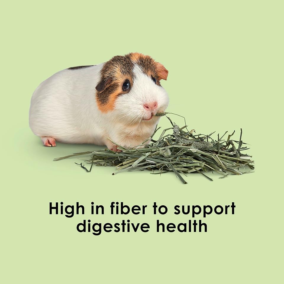 Kaytee Timothy Hay, High Fiber for Rabbits, Guinea Pigs, 96 Ounces | Supports digestive health. Hand-selected rabbit hay. Guinea pig hay, chinchilla hay, pesticide free