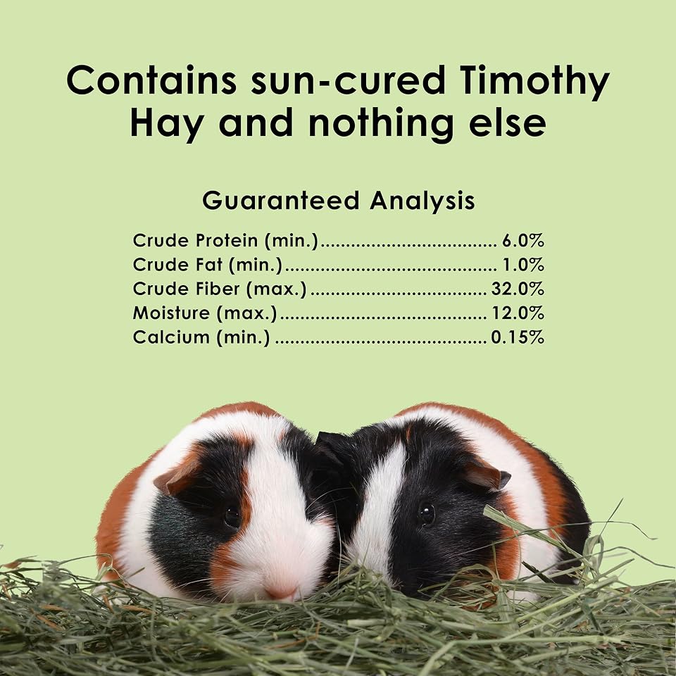 Kaytee Timothy Hay, High Fiber for Rabbits, Guinea Pigs, 96 Ounces | Supports digestive health. Hand-selected rabbit hay. Guinea pig hay, chinchilla hay, pesticide free