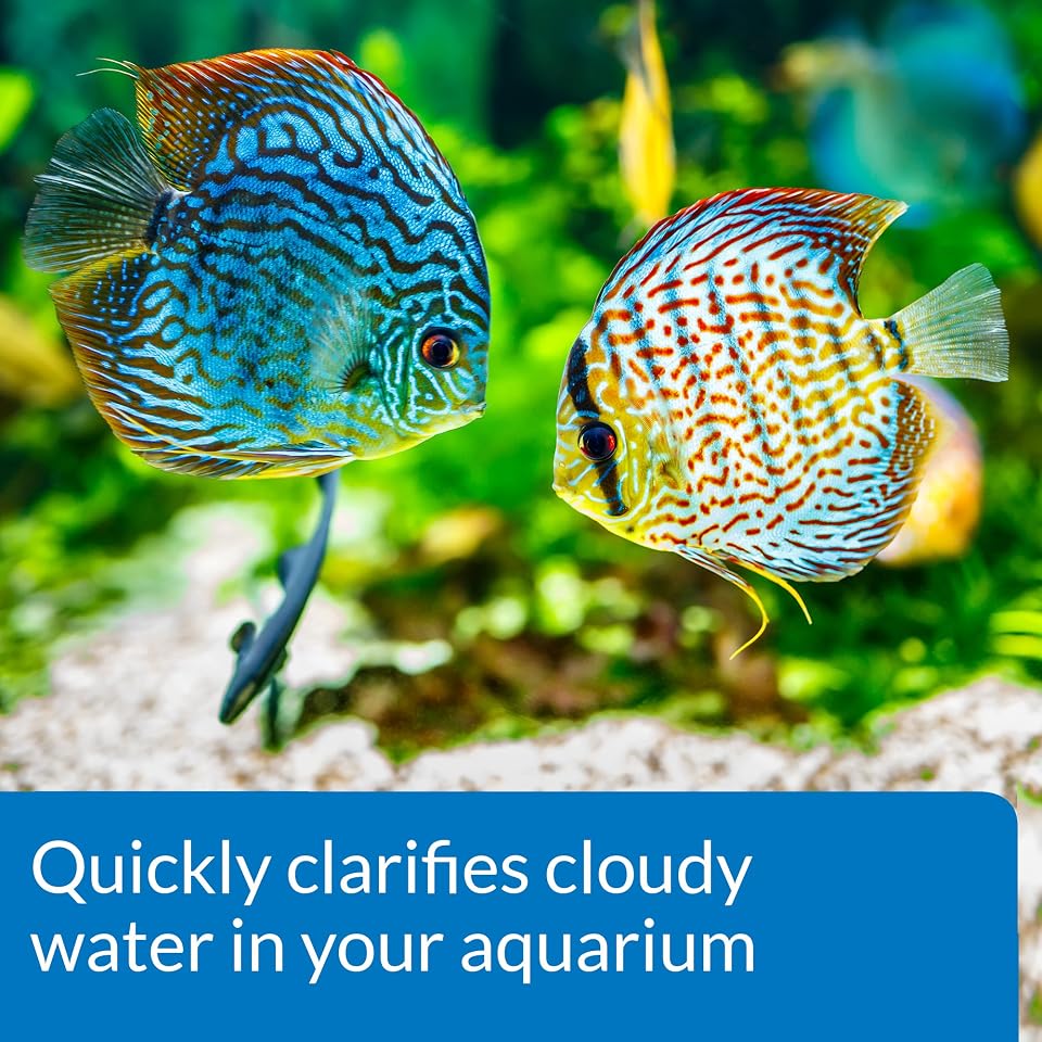 API ACCU-CLEAR Freshwater Aquarium Water Clarifier 4-Ounce Bottle 